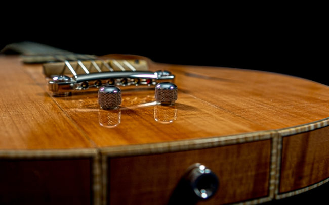 Guitare Osiris, Guitare Voyageuse et Modulaire - réalisée par Hervé BERARDET Maître Artisan Luthier, atelier Guitare et Création - @ Crédits Photos : Philippe Marzat - Centre Poirier et micro Charlie Christian 1